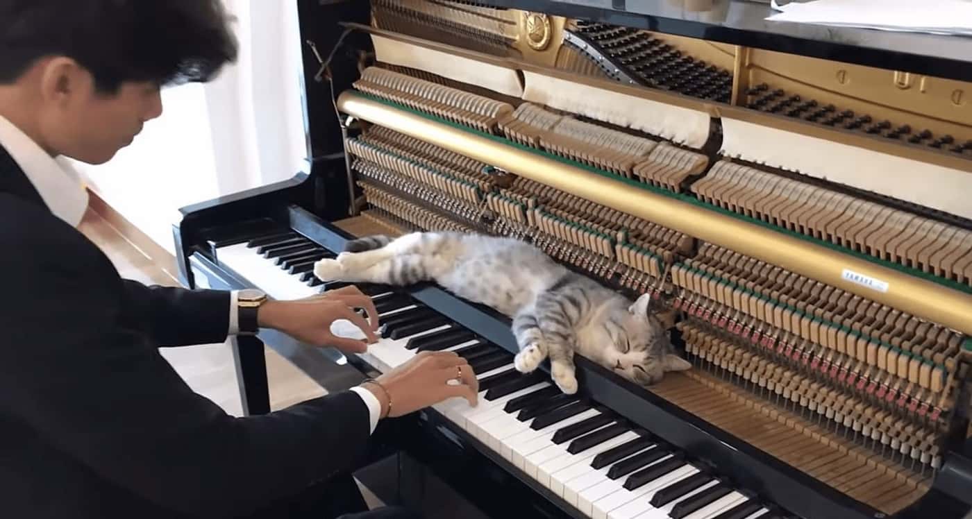 Chất lượng khóa học piano