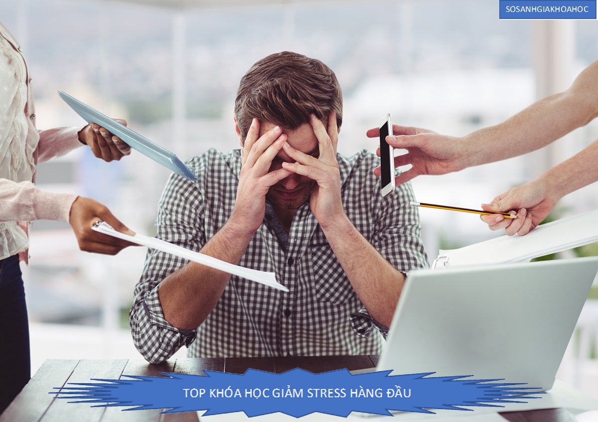Top 5 Khóa học Giảm Stress hiệu quả hàng đầu 2025