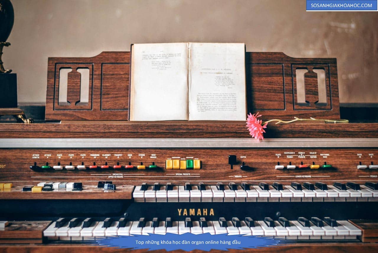 Top 3 Khóa học đàn organ online cơ bản lẫn chuyên nghiệp 2026
