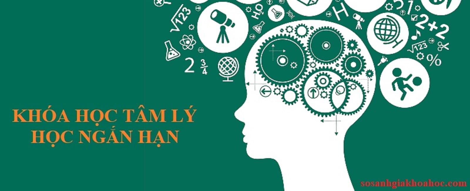 Top 3 Các khóa học ngắn hạn về tâm lý học tốt nhất 2026