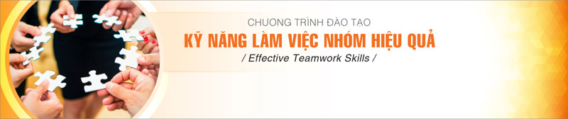 Khóa Học Kỹ Năng Làm Việc Nhóm Hiệu Quả